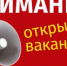 В банке вакантных рабочих мест Курской области для потенциальных участников Программы размещено 60 вакансий 5 работодателей города Железногорска - Администрация МО