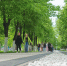 Прошагай город, и о Железногорске узнают в стране - Zhel.City