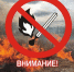 Фото из открытых источников. - Администрация МО