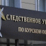 Александр Бастрыкин поручил возбудить уголовное дело по факту избиения подростка в Железногорске - Zhel.City