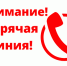 Фото из открытых источников. - Администрация МО