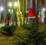 Новогодние каникулы россиян продлятся рекордные 12 дней - Zhel.City