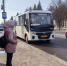 В Железногорске по улице Курской добавят 16 регулярных рейсов общественного транспорта - Zhel.City