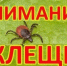 Фото из открытых источников. - Администрация МО
